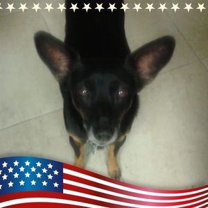 Meet your Posher, Bob